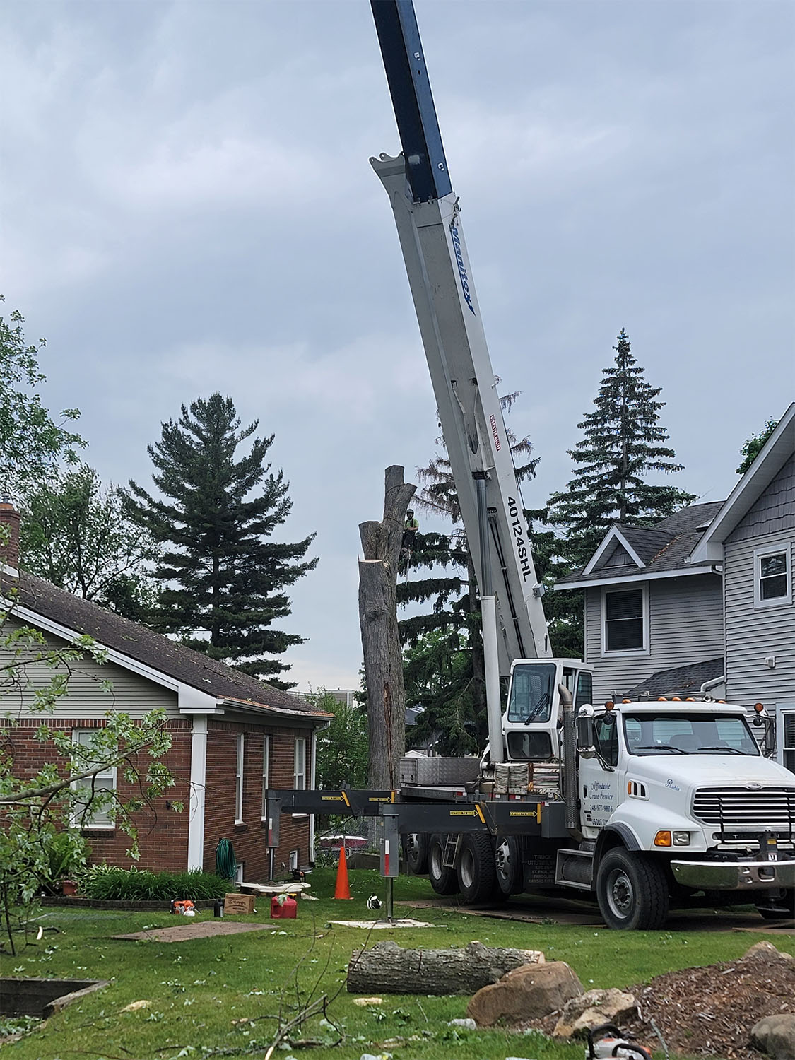 Tree removal by Tree Huggers